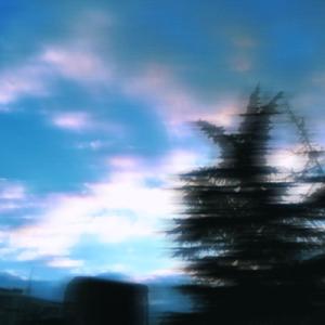 灰蓝色的梦（confide）