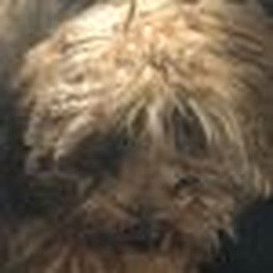 Chunga's Revenge (sped up)