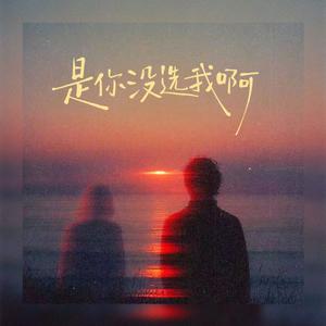 是你没选我啊(宿命女声版)