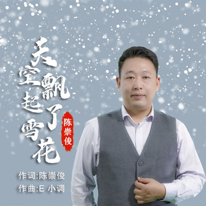天空飘起了雪花