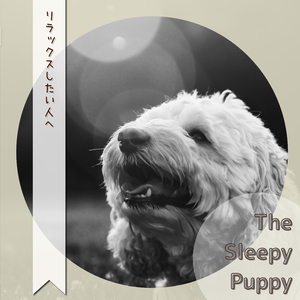 The Sun's in the Sky