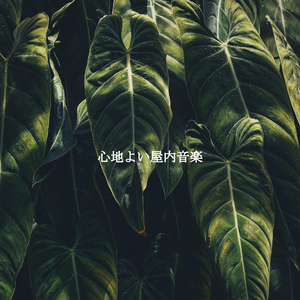 Cool Backdrops for Morning Brunches