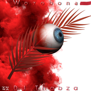 Wozobona (Instrumental Version)