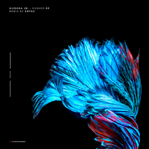 Pushed (Original Mix)