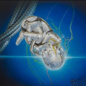 偏执Paranoia((Prod by 姚姚)