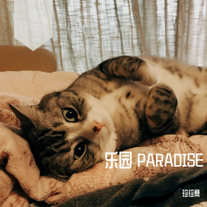 JC36-乐园Paradise-Demo(Guitar Ver)