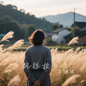 风往故乡吹