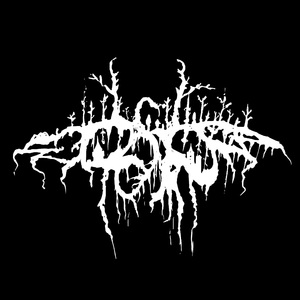 Demo