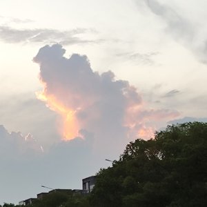 沉醉东风