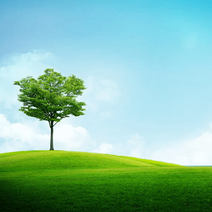 《碎梦间的空灵景致》