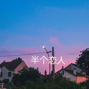 半个恋人