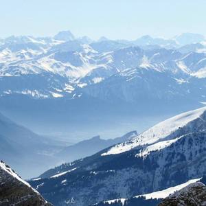 倪妮不能公开的