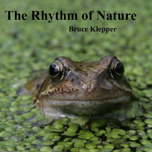 The Rhythm of Nature