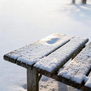 少年心事落雪