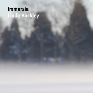Immersia I