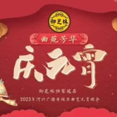 腾飞的骏马 (Live)