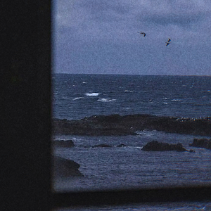 海声（● ◐ ◑ ◒）