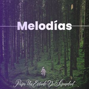 Aumento De La Concentración