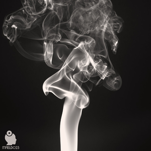Leave In Smoke (Original Mix)