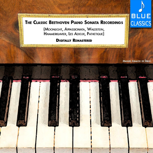 Les Adieux Sonata: Piano Sonata No 26 in e-Flat Major, Op. 81a: II. Andante Espressivo (Abwesenheit)