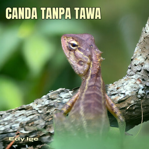 Canda Tanpa Tawa