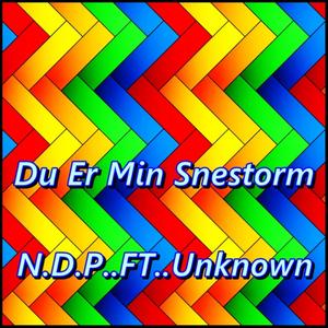 Du Er Min Snestorm