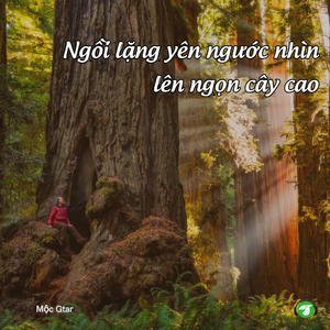 Yêu Cây Từ Thuở Thiếu Thời