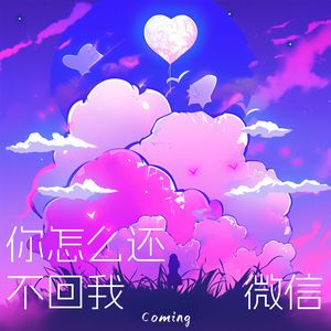 你怎么还不回我微信