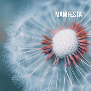Manifesta