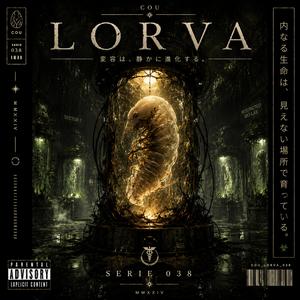 Lorva