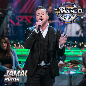 Birds (Uit Beter Dan Het Origineel)