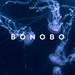 Bonobo