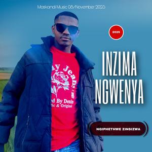 Minangiphekwe Zitsizwa