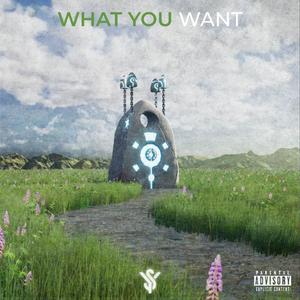 What You Want