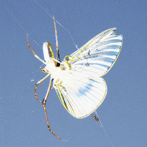 못 이기는 척 (Feat. TRADE L)