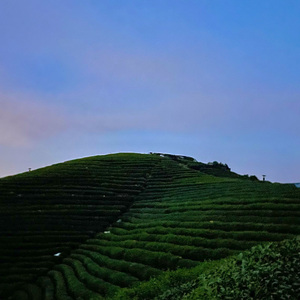 夏至 (PRODUCED BY MORROW)