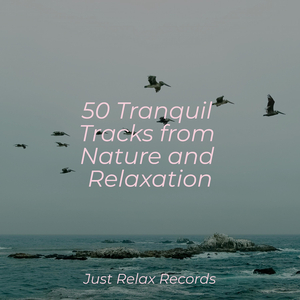 Flight of the Wind Riders