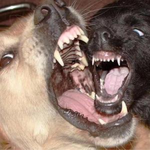 Movil (feat. Chilko 808)