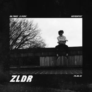 ZLDR (feat. Skyentist)