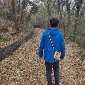 同桌的你（翻自 老狼）