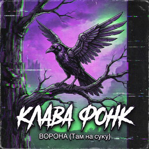 Ворона (Там на суку)