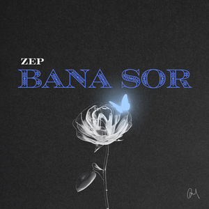 bana sor