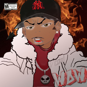 Wow Freestyle (Remix)