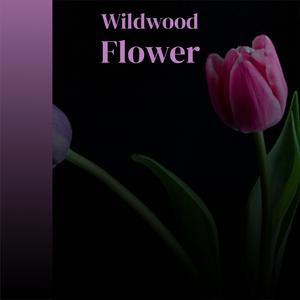 Love Is A Merry Go Round