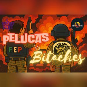 Pelucas Vs Bitaches