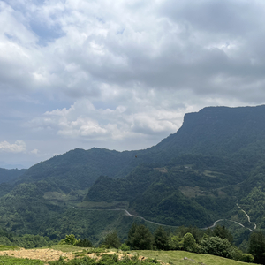 今天有个好天气