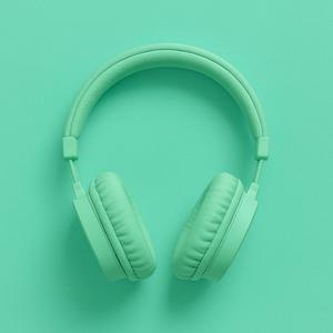 Campus Autumn Dreams