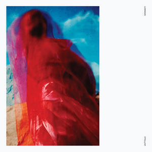 In Motion (Luka Lomidze Remix)