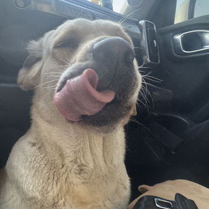 祝我们各自安度