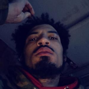 Serbay's Song (Landside)